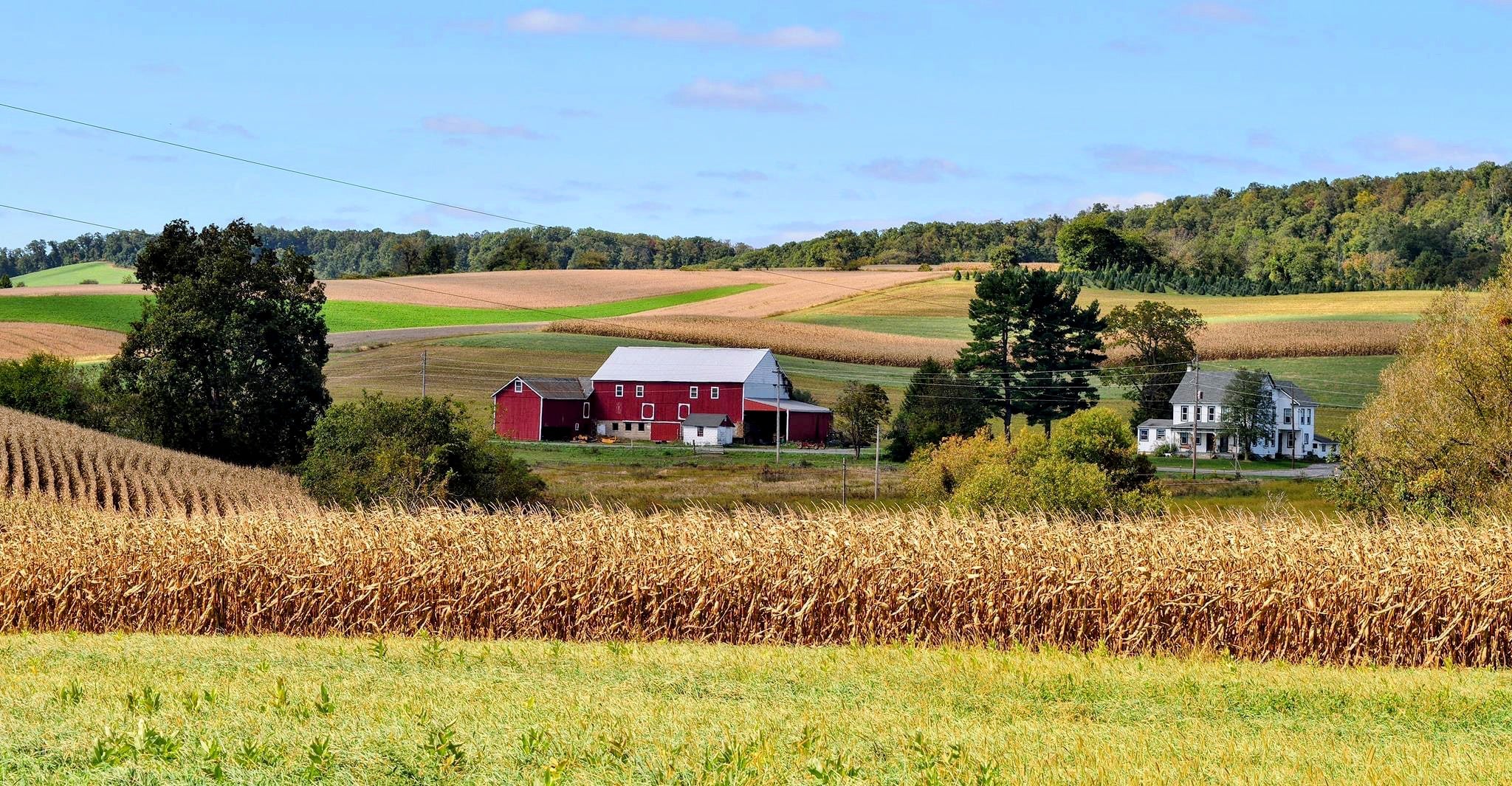 Photos of Lehigh Valley Store