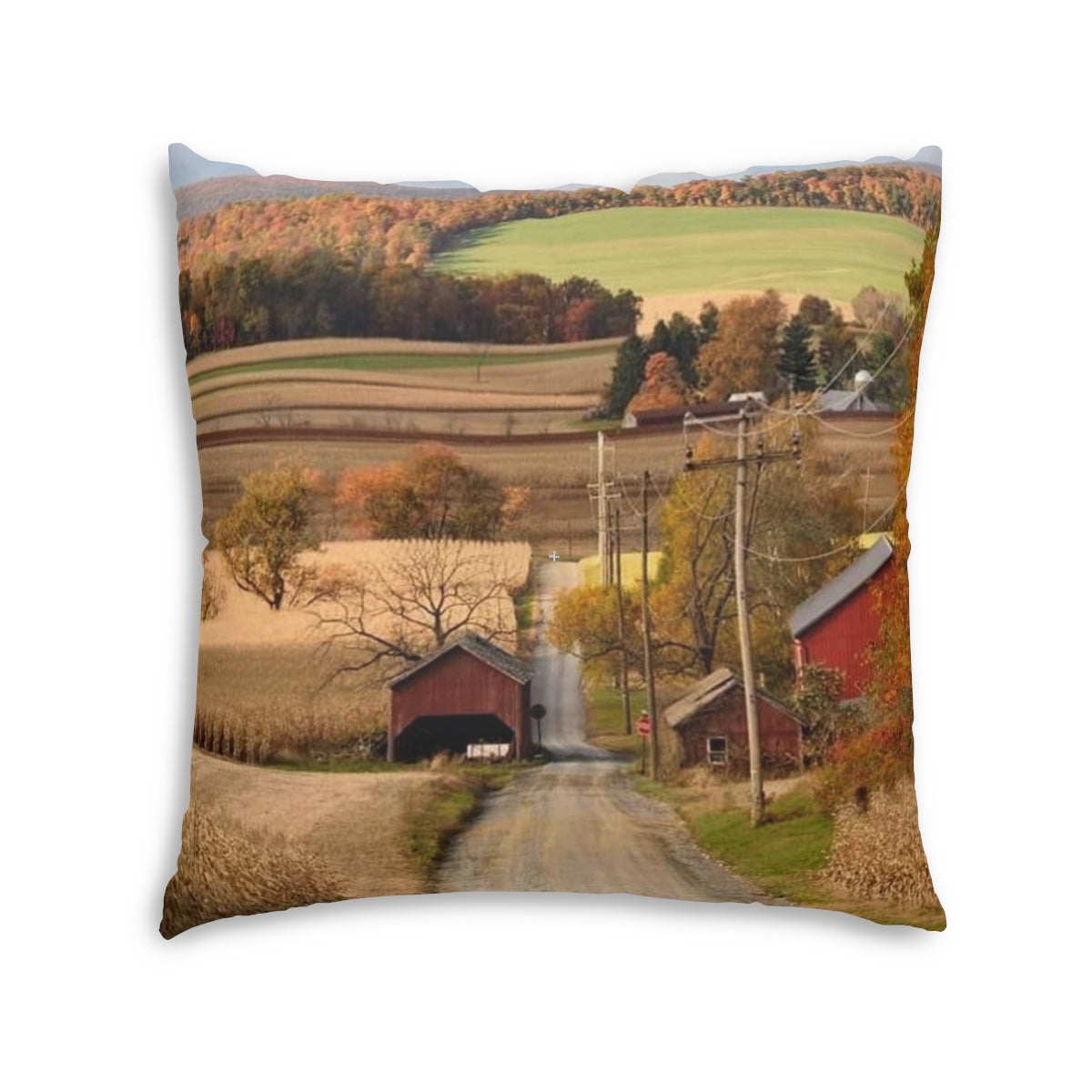 Comfy-Country TV Watchin' Pillows