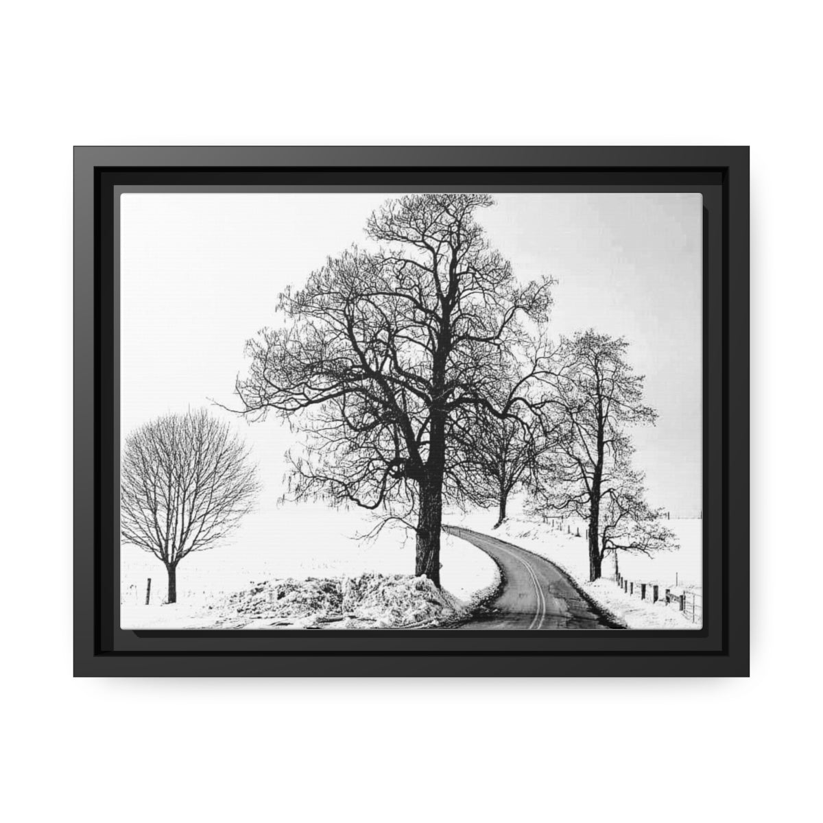 Snowy Trees - Black Frame