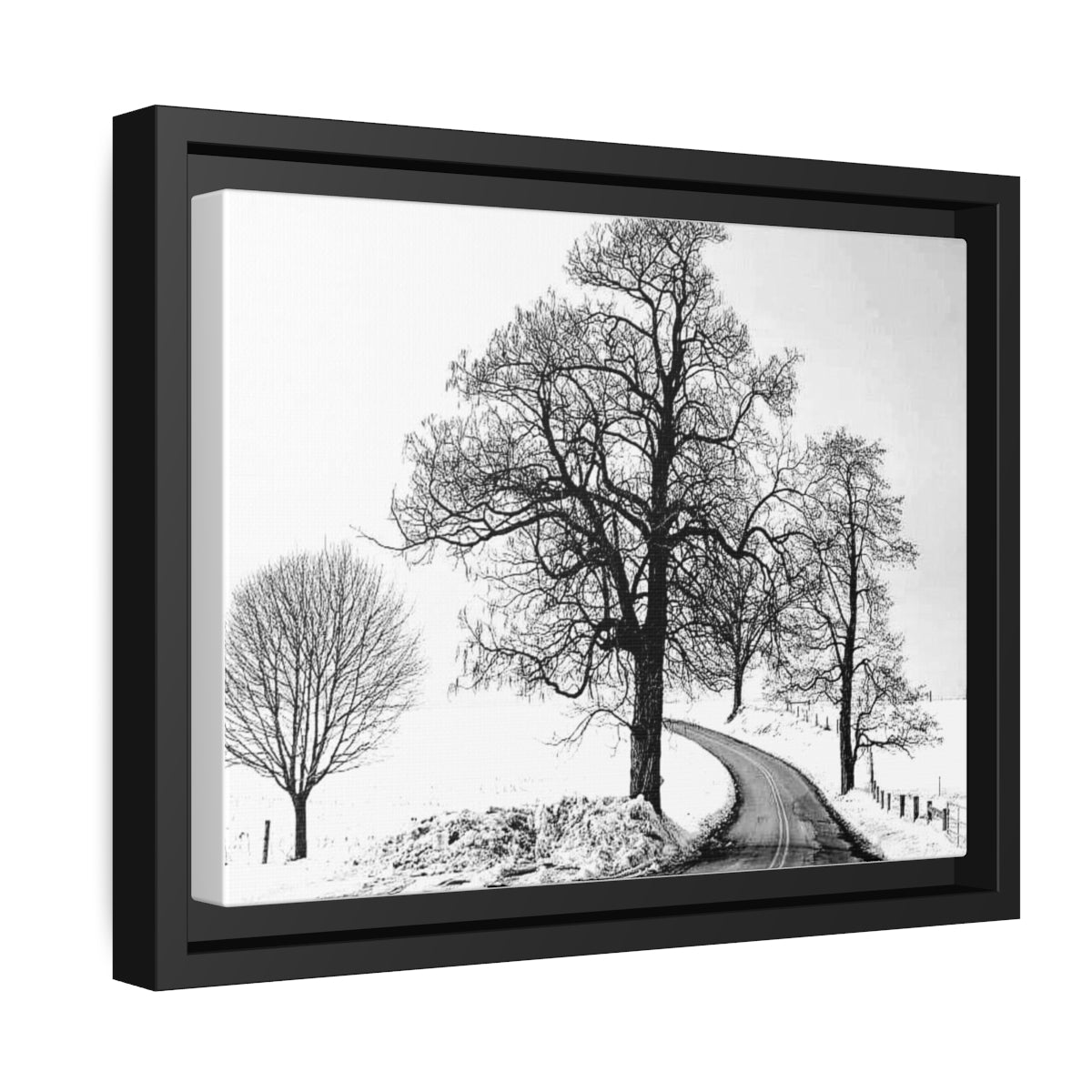 Snowy Trees - Black Frame