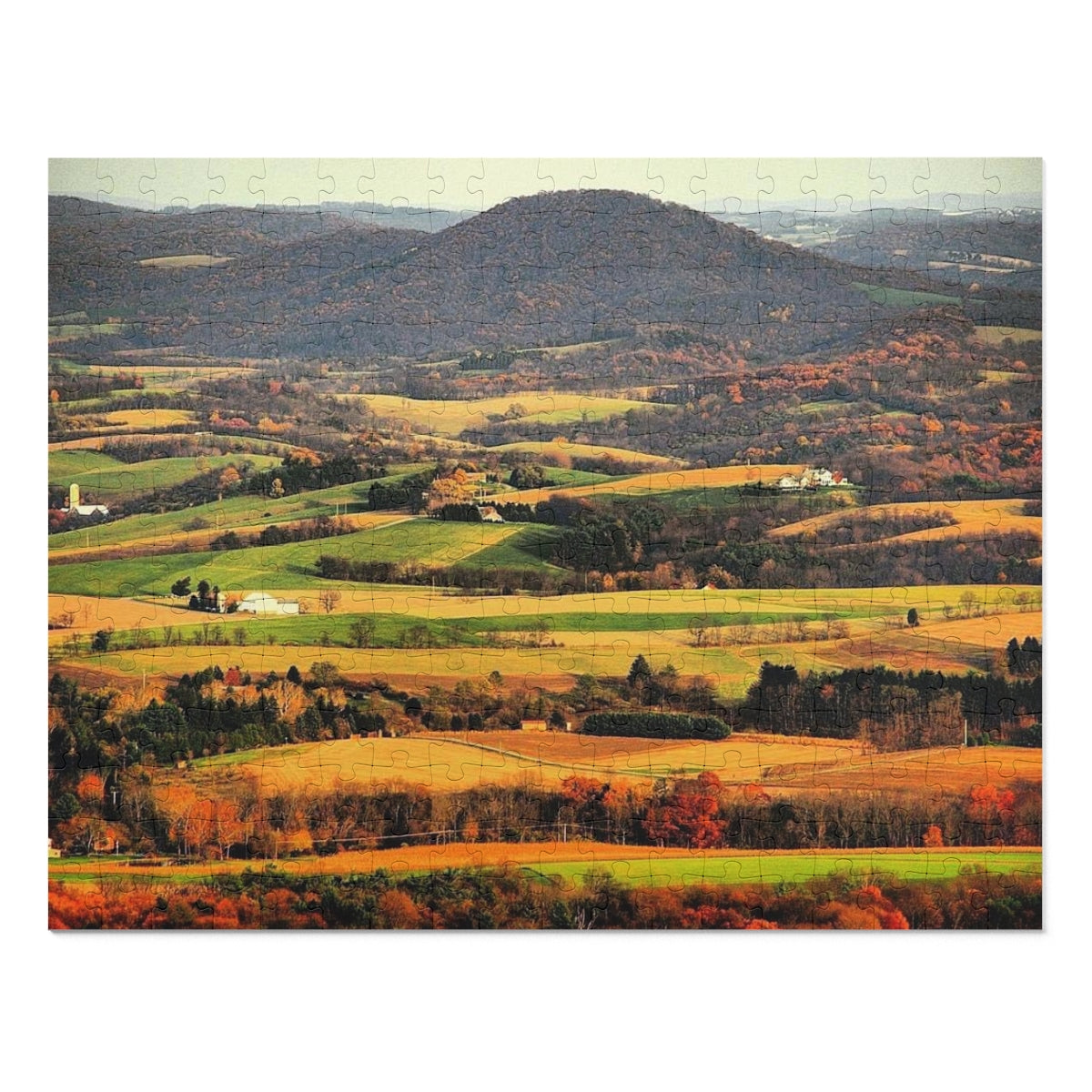 Hawk Mountain Jigsaw Puzzle (30, 110, 252, 500,1000-Piece)